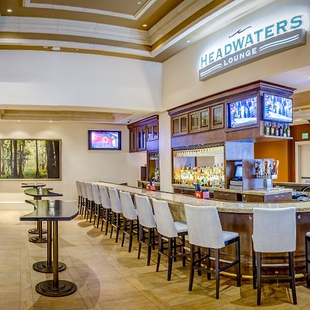 Rosen Shingle Creek Universal Blvd Williamsburg Bagian luar foto