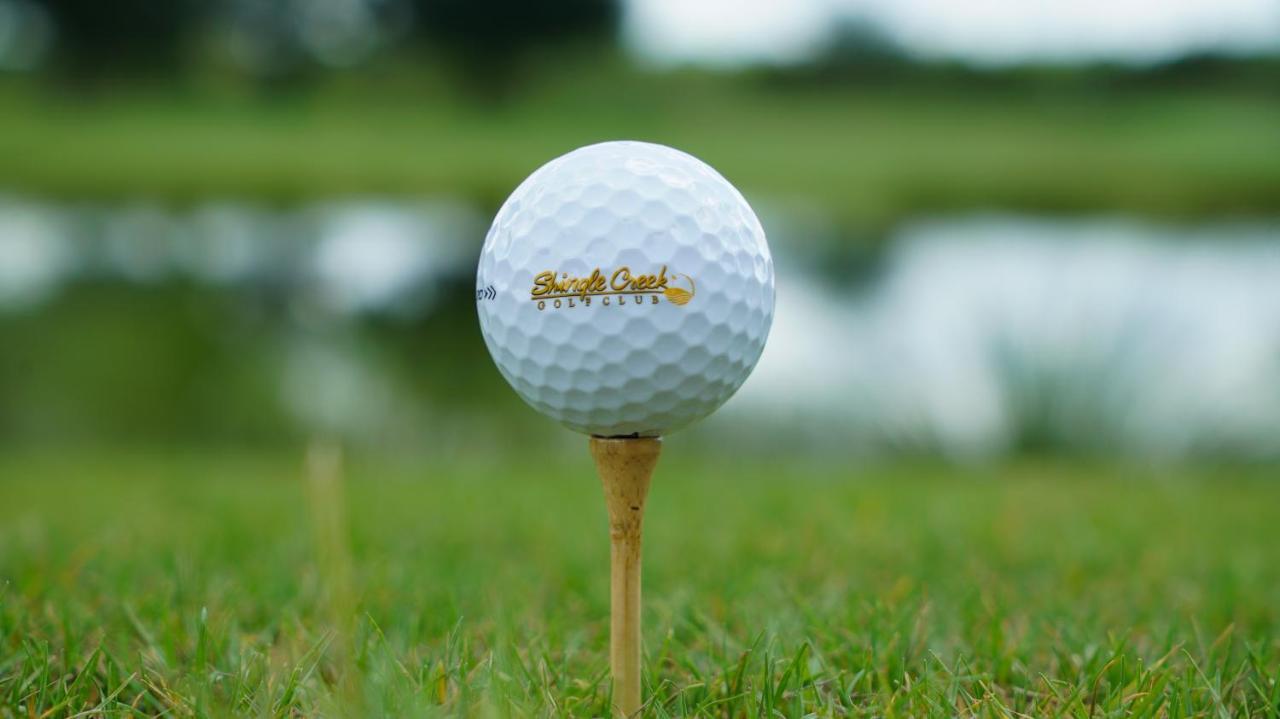 Rosen Shingle Creek Universal Blvd Williamsburg Bagian luar foto